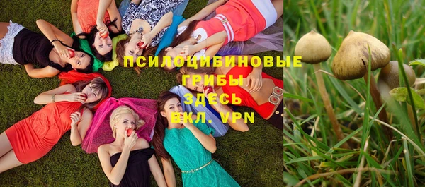 марихуана Баксан