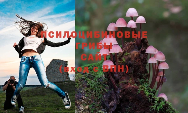дмт Балабаново