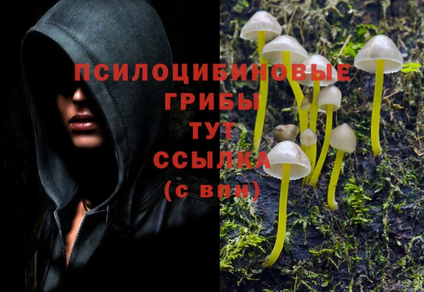 марихуана Баксан