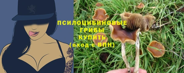не бодяженный Балахна