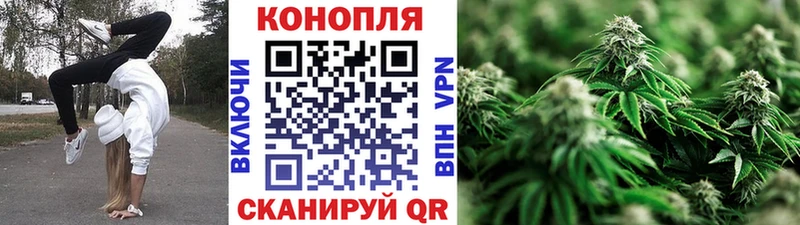 наркошоп  Верхнеуральск  Конопля ГИДРОПОН 